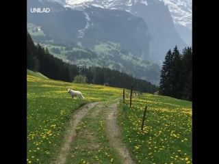 walk in switzerland