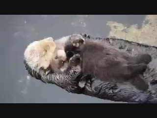 caring mother