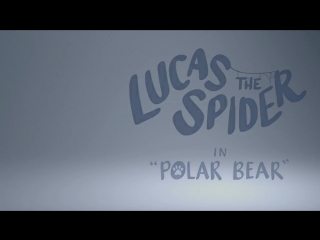 spider lucas and polar bear