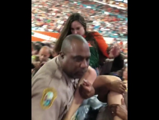 cop knocked out violent fan