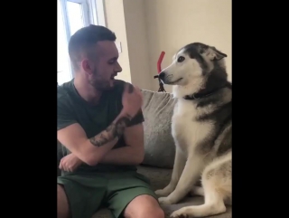 true love between dog and man