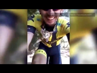 cyclist victor fonseca picked up a kitten