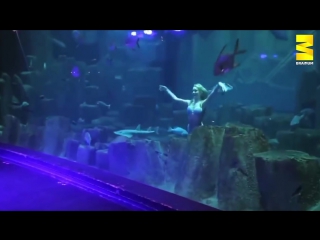 25-year-old student works as a mermaid in paris