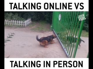 online vs real life