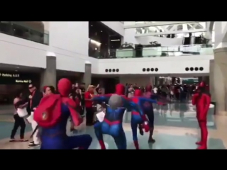 spider dance