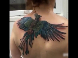 the phoenix tattoo on the back looks cool