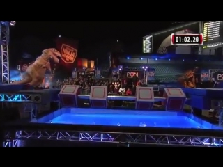 t-rex on the obstacle course