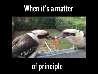 it's a matter of principle